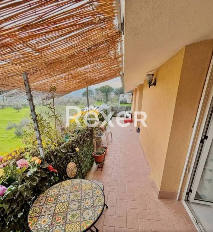 appartamento in vendita a Calvi