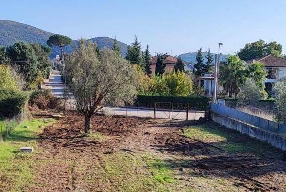 terreno agricolo in vendita a Calvi