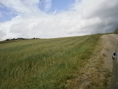 terreno agricolo in vendita a Campolattaro