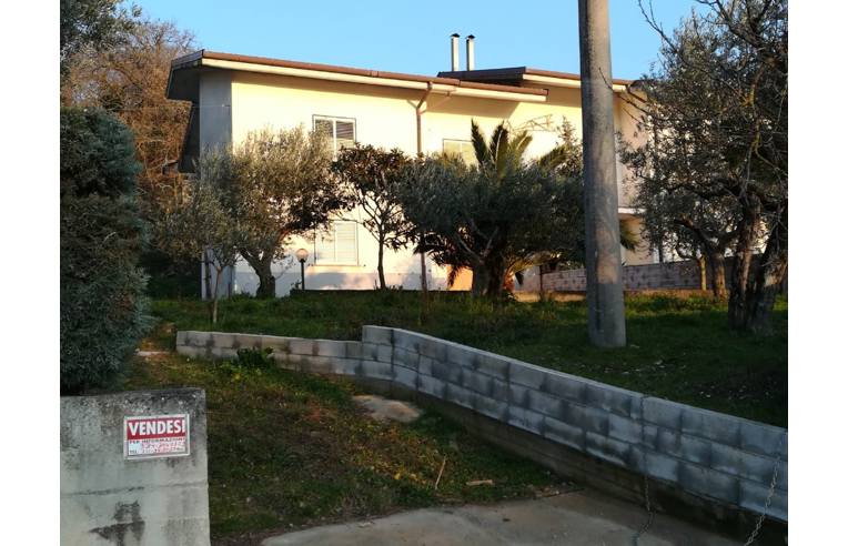 casa indipendente in vendita a Casalduni