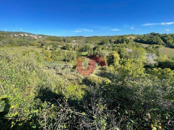 casa indipendente in vendita a Casalduni