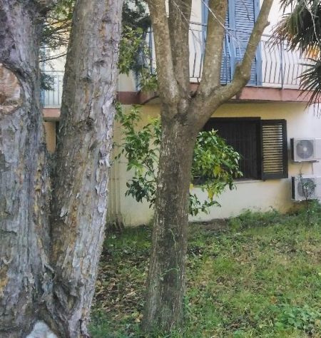 casa indipendente in vendita a Castelvenere