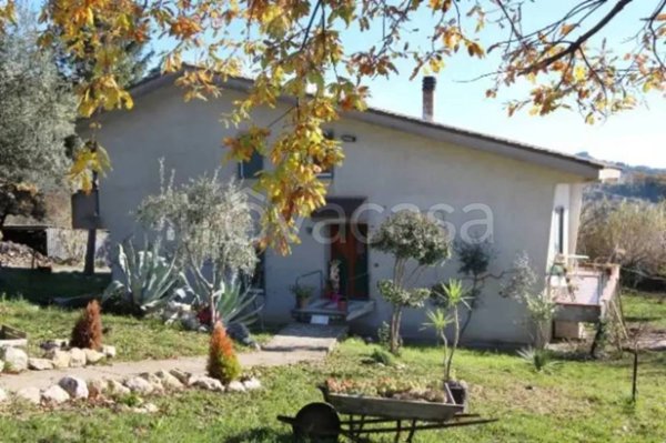 casa indipendente in vendita a Castelvenere