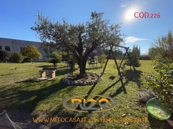 casa indipendente in vendita a Castelvenere