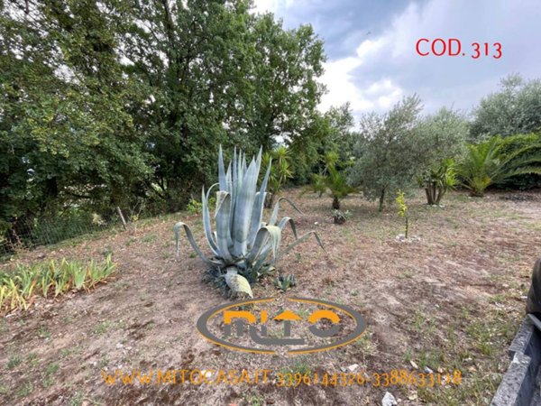 appartamento in vendita a Castelvenere