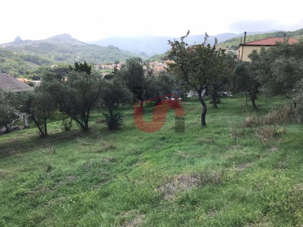 terreno agricolo in vendita a Cautano