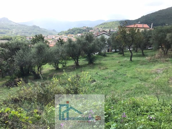 terreno agricolo in vendita a Cautano in zona Cacciano