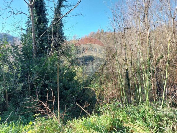 terreno agricolo in vendita a Ceppaloni in zona Beltiglio