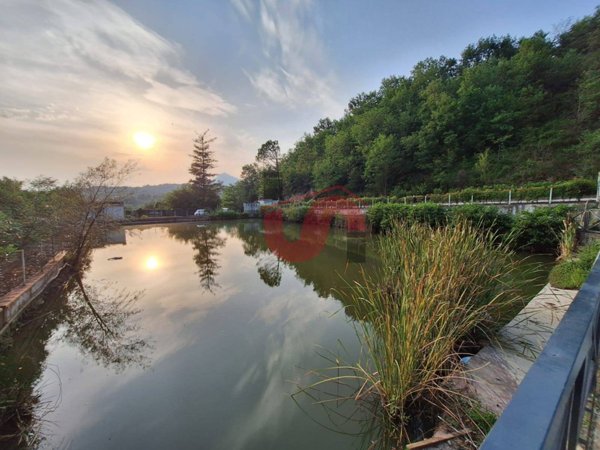 locale commerciale in vendita a Ceppaloni