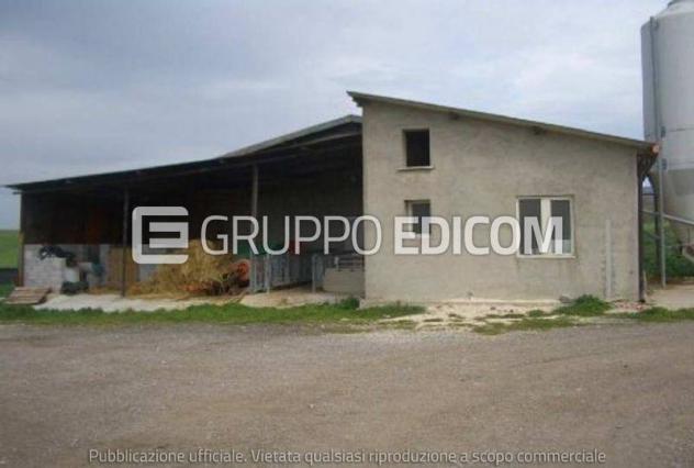 locale commerciale in vendita a Circello