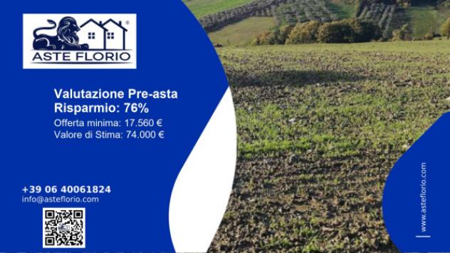 terreno agricolo in vendita a Circello