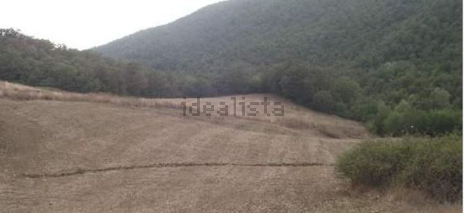 terreno agricolo in vendita a Circello