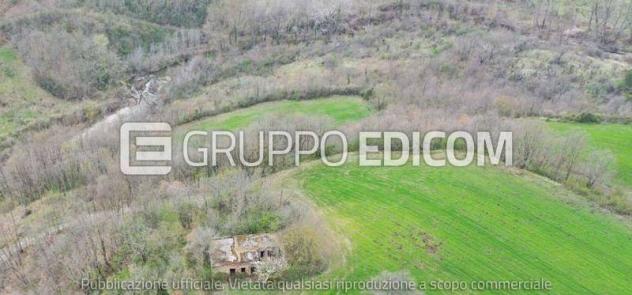 terreno agricolo in vendita a Circello