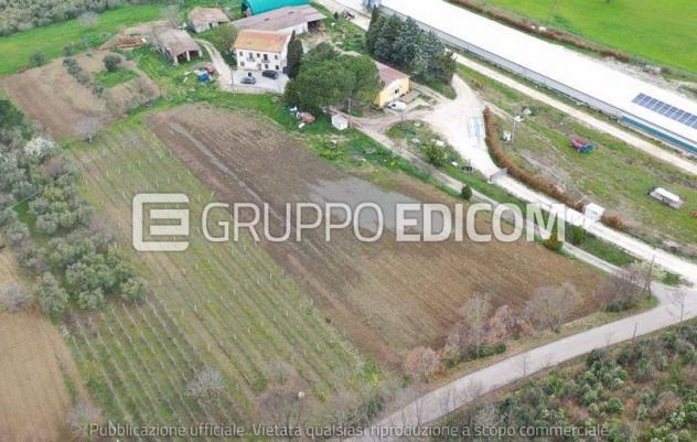 terreno agricolo in vendita a Circello