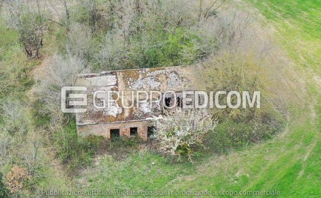 terreno agricolo in vendita a Circello