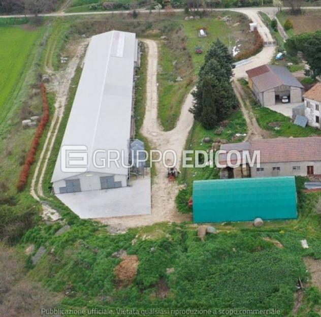 locale commerciale in vendita a Circello