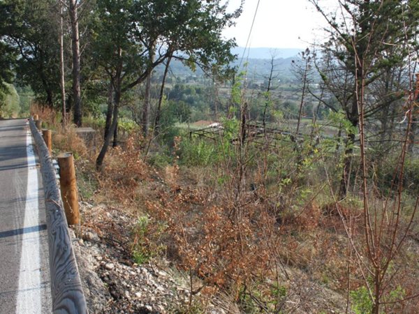 terreno agricolo in vendita a Dugenta