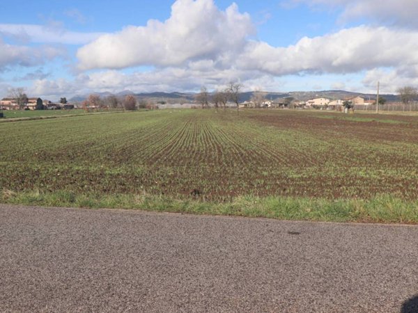 terreno agricolo in vendita a Dugenta
