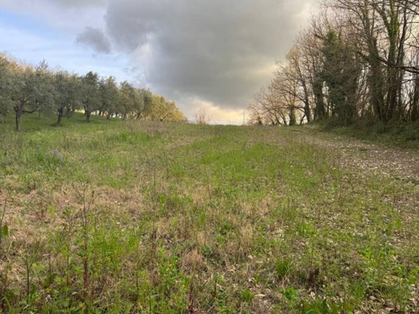 terreno agricolo in vendita a Dugenta