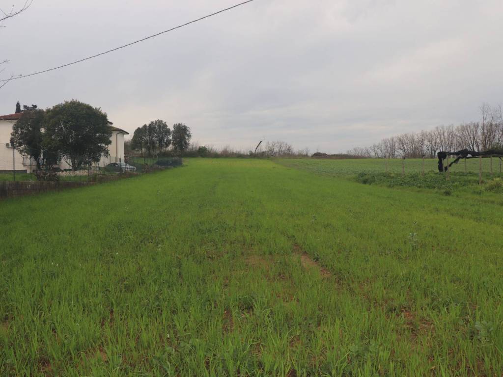 terreno agricolo in vendita a Dugenta in zona Santa Maria Impesole