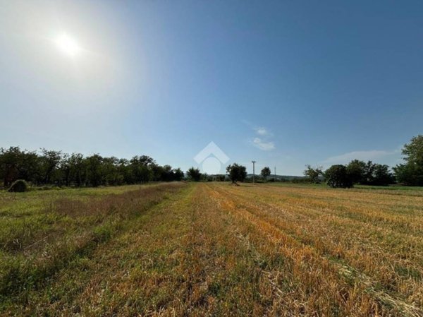 terreno agricolo in vendita a Dugenta in zona Santa Maria Impesole