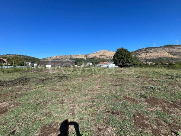terreno agricolo in vendita a Durazzano