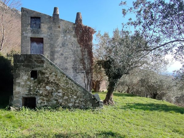 esavano in vendita a Faicchio