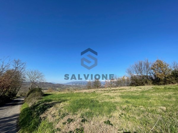 terreno agricolo in vendita a Faicchio