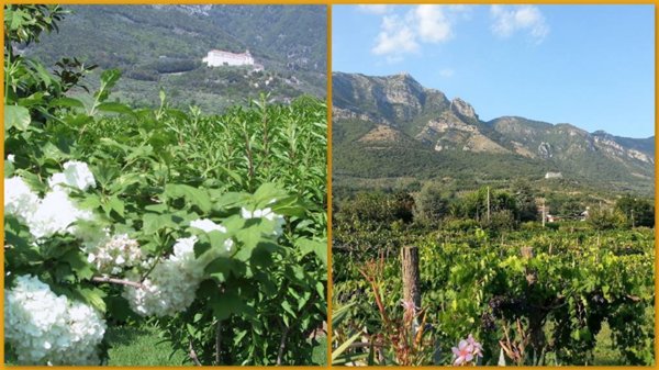 casa indipendente in vendita a Faicchio