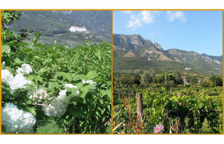 casa indipendente in vendita a Faicchio