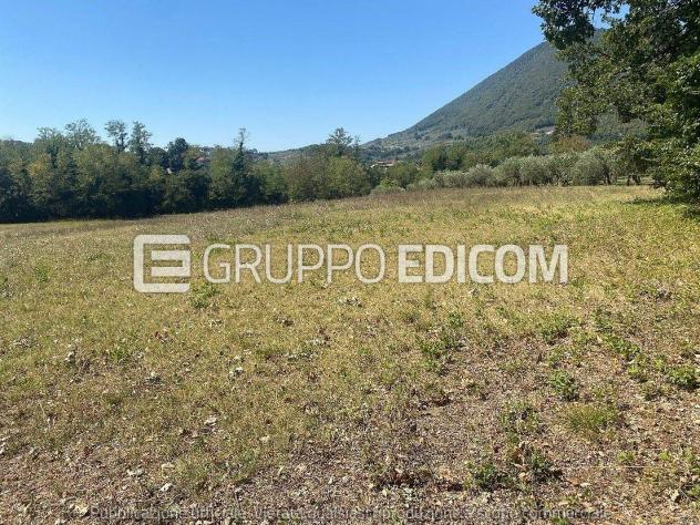 terreno agricolo in vendita a Faicchio