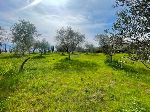 terreno agricolo in vendita a Faicchio