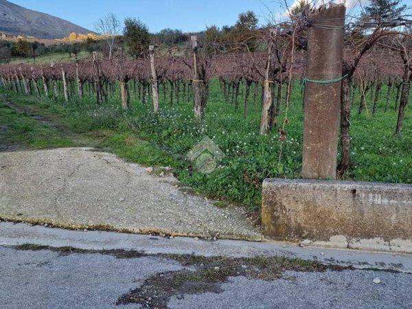 terreno agricolo in vendita a Foglianise