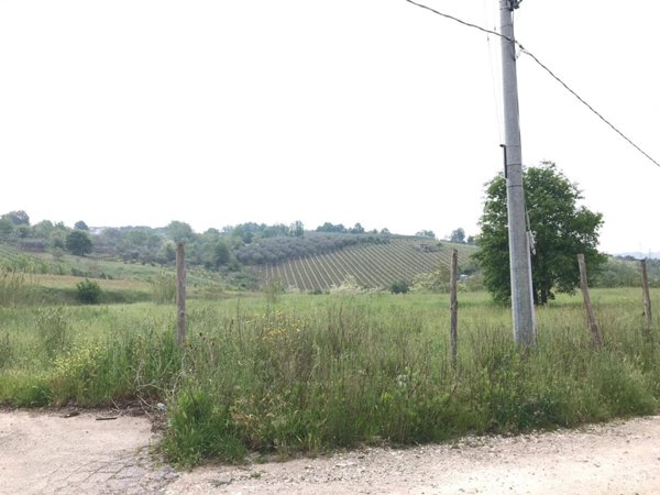 terreno agricolo in vendita a Foglianise