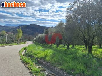 terreno agricolo in vendita a Foglianise in zona Viglione