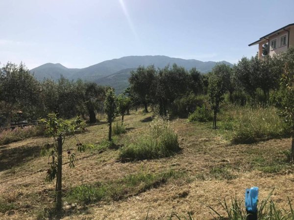 appartamento in vendita a Foglianise