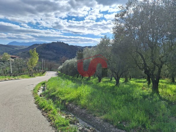 terreno agricolo in vendita a Foglianise in zona Viglione