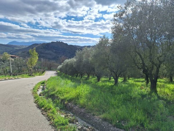 terreno agricolo in vendita a Foglianise in zona Viglione