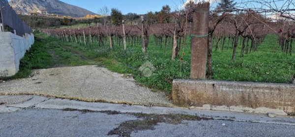 terreno agricolo in vendita a Foglianise
