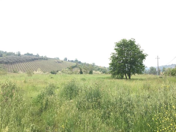 terreno agricolo in vendita a Foglianise in zona Golini