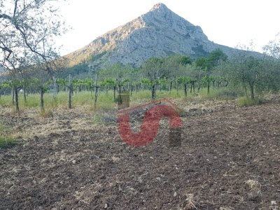 terreno agricolo in vendita a Foglianise