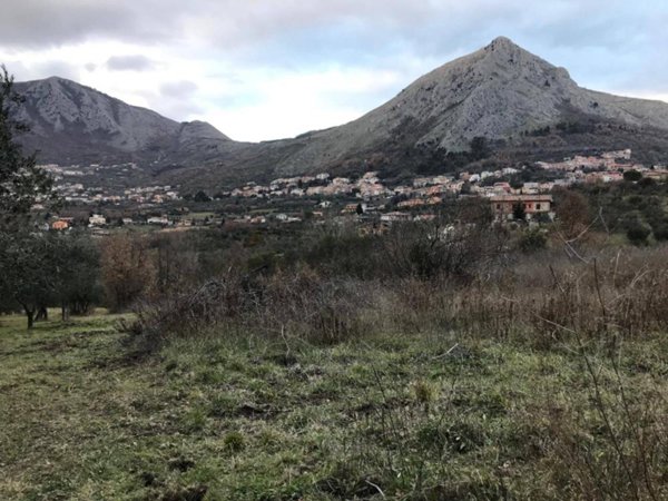 terreno agricolo in vendita a Foglianise