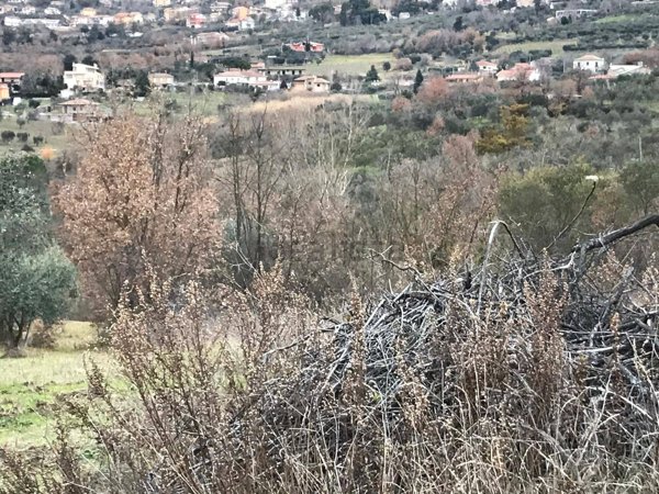 terreno agricolo in vendita a Foglianise in zona Golini