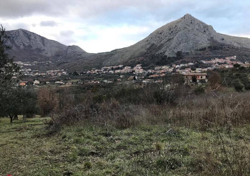 terreno agricolo in vendita a Foglianise