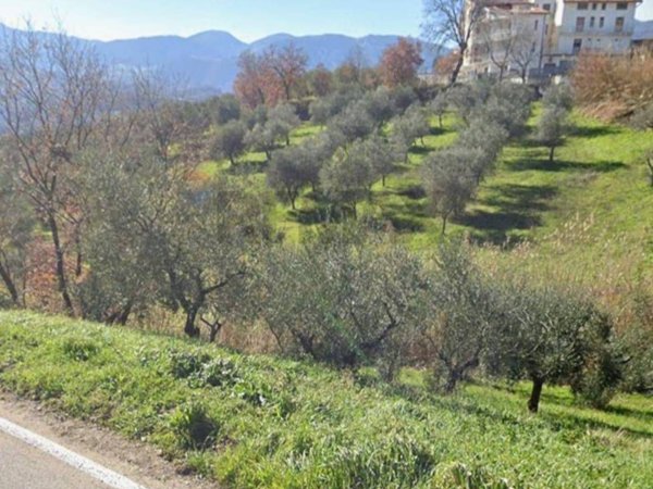 terreno agricolo in vendita a Foglianise