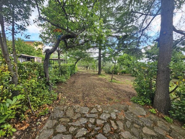 terreno agricolo in vendita a Foglianise in zona Prato