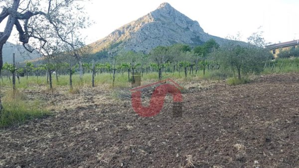 terreno agricolo in vendita a Foglianise in zona Leschito