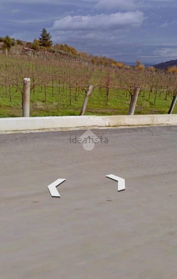 terreno agricolo in vendita a Foglianise in zona Leschito