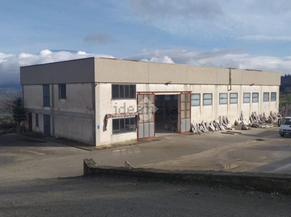 capannone in vendita a Fragneto Monforte