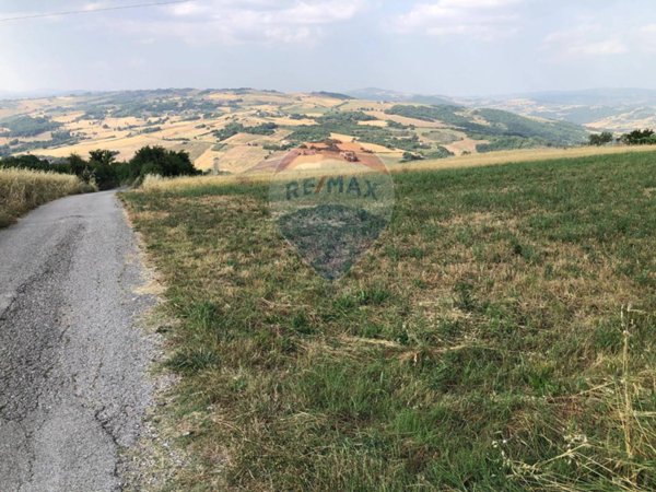 terreno agricolo in vendita a Fragneto Monforte